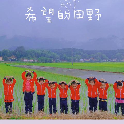 芒市遮放镇弄坎恩慧幼儿园———《亲近自然，播种希望》