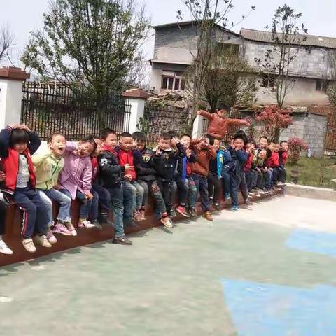 大三班四月主题课程实施学习——《恐龙家族》