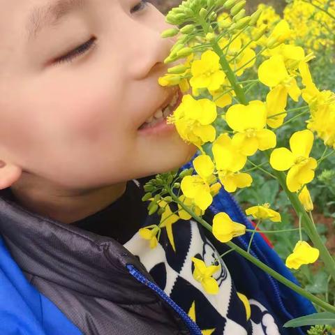 沅陵城南神墨口才专访—张景泽学员