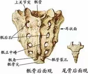 腰突症针刀治疗