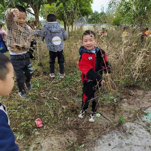 为了丰富幼儿生活，亲近自然，体验种植的乐趣 ，宝贝们在老师的带领下，开展了“种植大蒜”的实践活动。