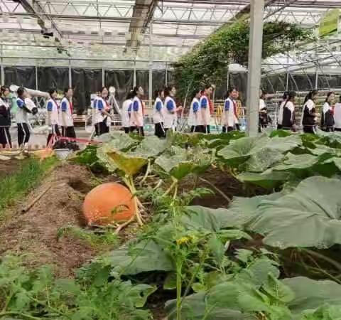 北京路中学教育集团泰安路中学校区2022级5班日照市青少年综合实践基地活动纪实（四）