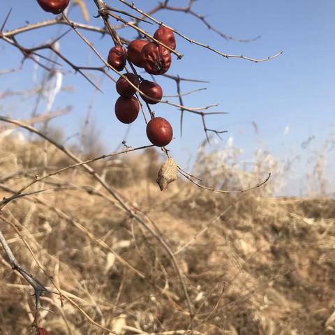 大年初一上山远足