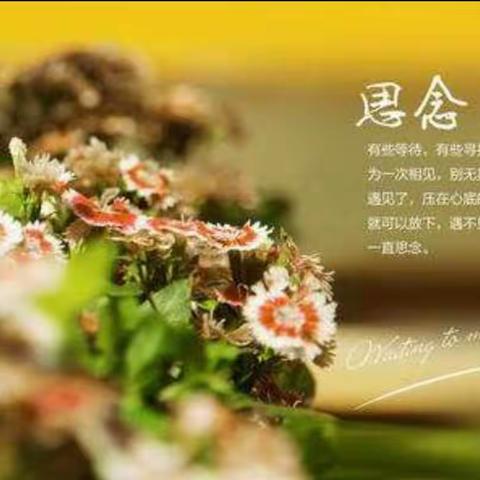 轻拨心灵的琴弦