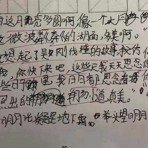 百字小作文