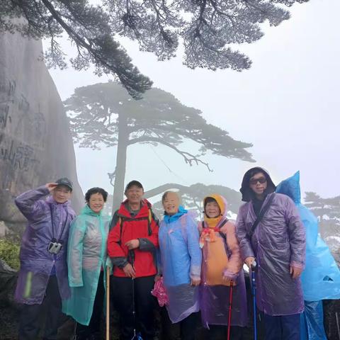 登黄山，天下无山