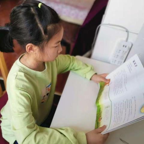 我和我的朋友们