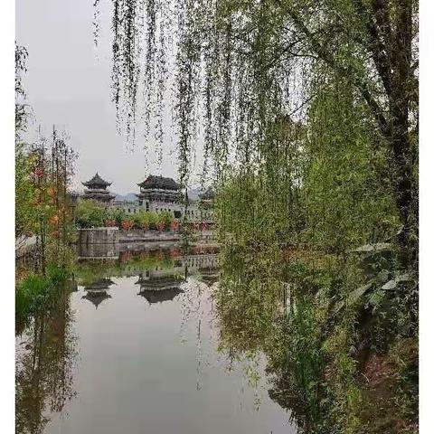 烟花三月到水街