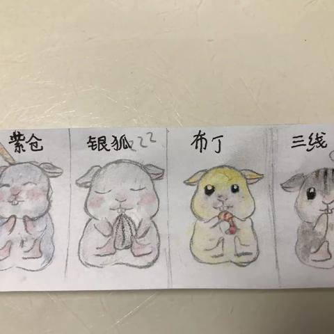 小妞的那点心思