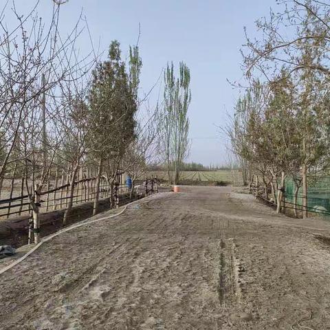 消逝的岁月——匆匆