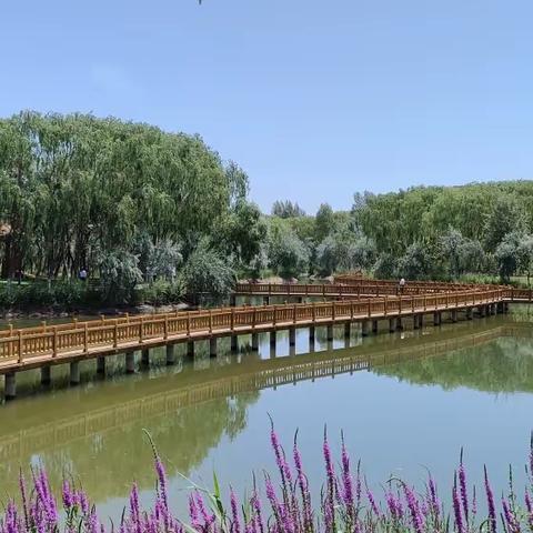 生活启示——子非鱼，焉知鱼之乐