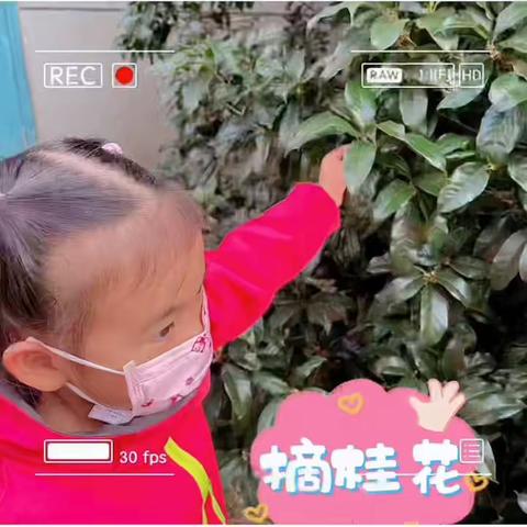 何苏雅小朋友亲子制作桂花蜜（润州区实验幼儿园第一分园）