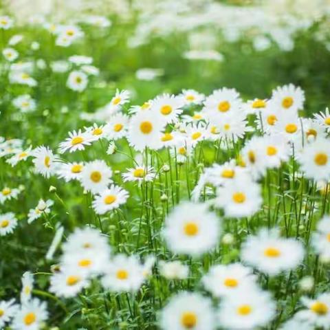 六月，“你”如期而至