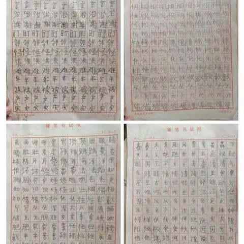 缤纷暑假，“暑”你最棒！——阎庄乡总校北阎庄小学一（2）班暑假特色作业阶段性展示