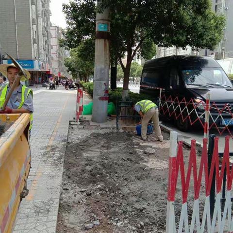 【市政管理科】2019年5月24日工作日报