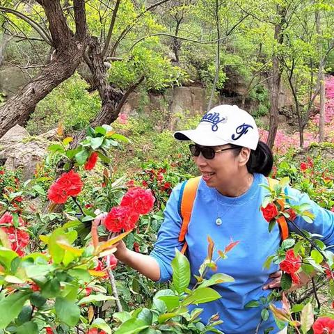 七绝•花季登大珠山（新韵）