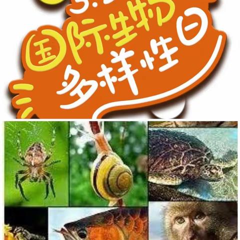 5.22国际生物多样性日，保护生态环境，人人有责—黄花小学携手桃红岭保护区开展保护野生动物宣传教育活动