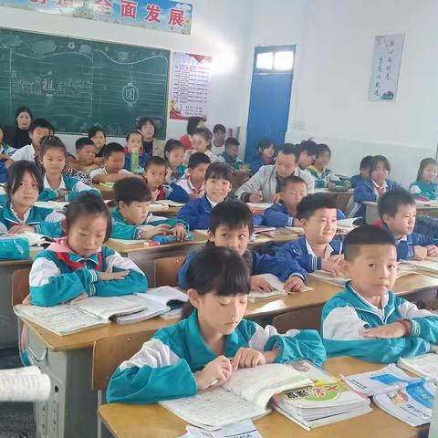 黄花小学语文优质课展示活动