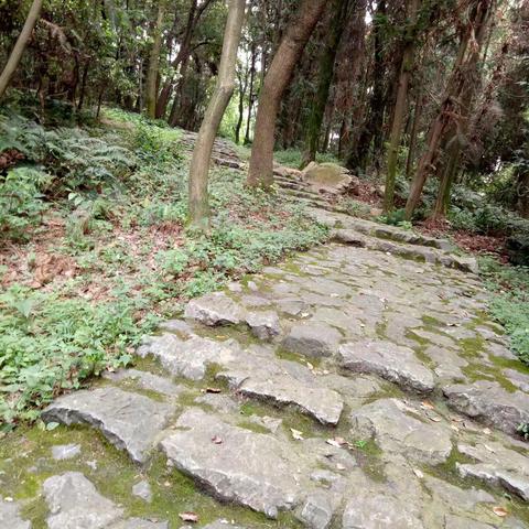 2019年“幼儿园青年教师保教基本功提升培训”
