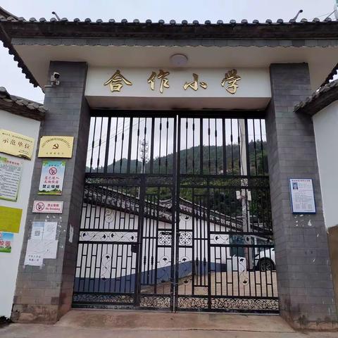 巍宝山乡合作小学2023年秋季学期一年级招生入学公告