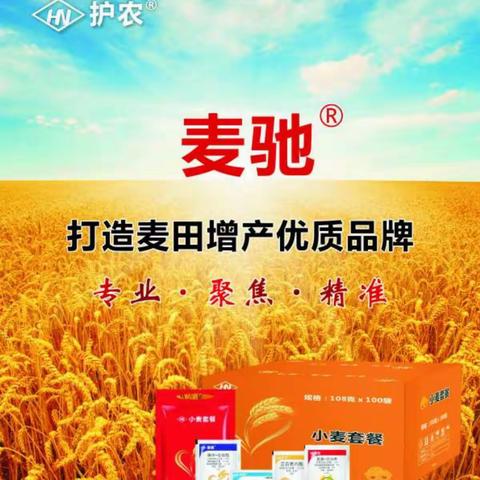 护农®麦驰®应用效果展示