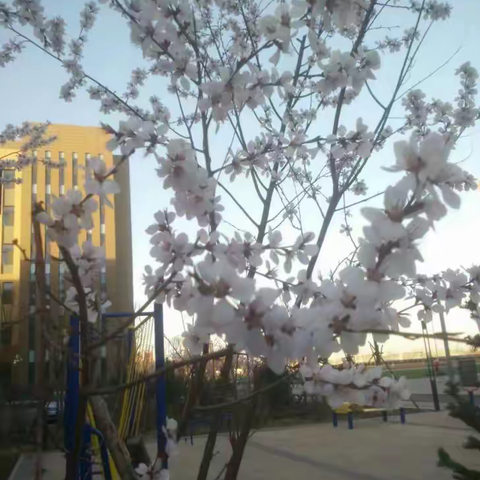 【校友话二附】胡晓倩：岁月兜转，青春向阳