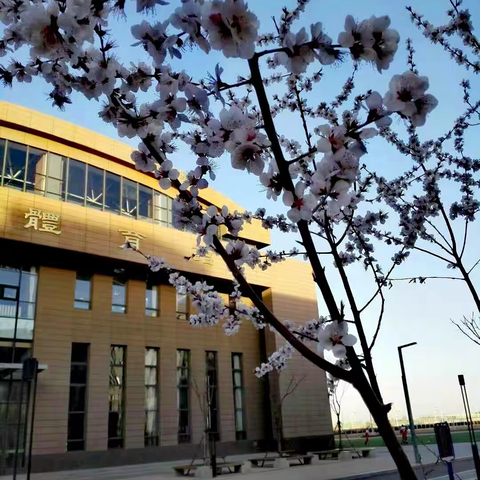 【校友话二附】梁爽：手可摘星辰