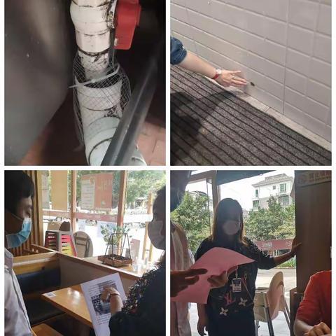 市局标准化科包点巩卫情况