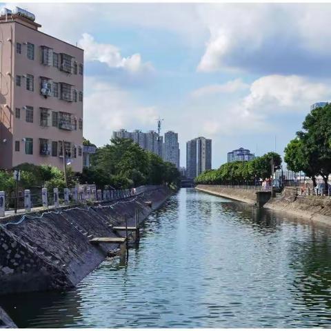 搞好河道管护    共创美好家园