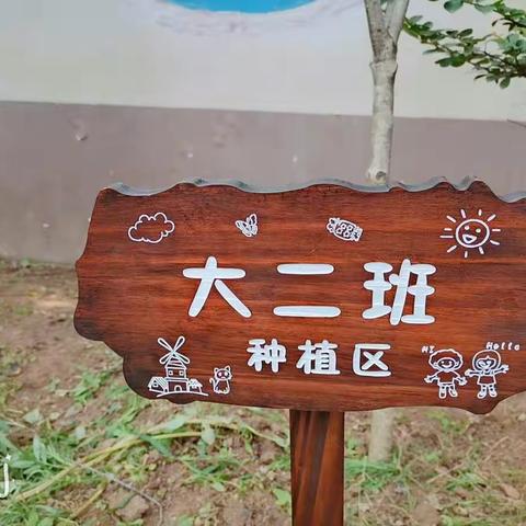 大二班种植记