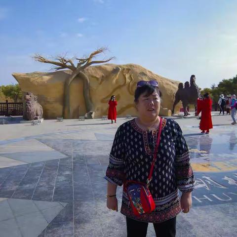 额济纳旗胡杨林旅行