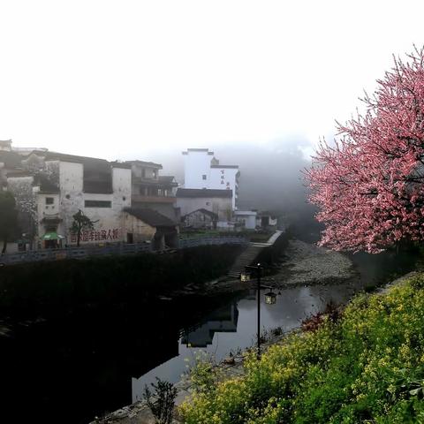 石潭古镇的春天真美，金灿灿的油菜花，粉色的桃花相映生辉，难得一见的云海宛如仙境。