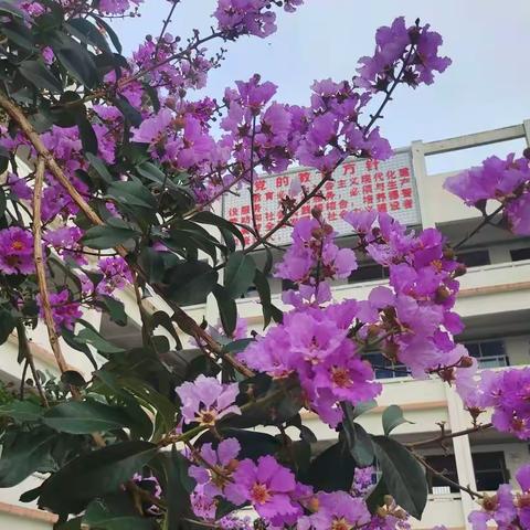 师徒结对促成长  汇报课堂展风采