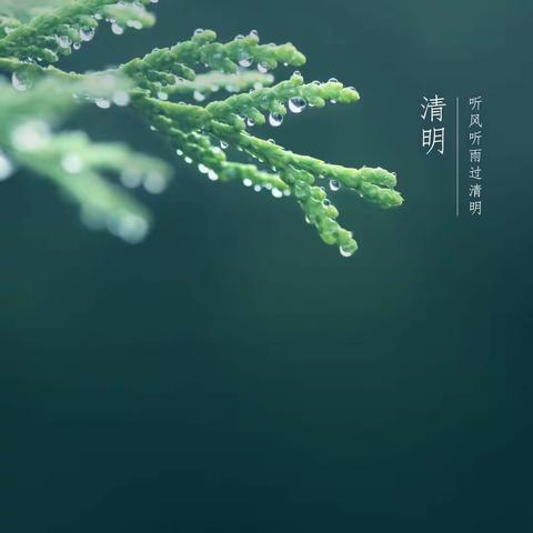 雷锋的美篇