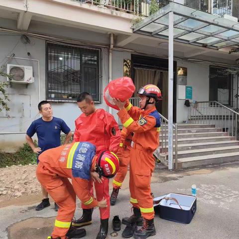 勇摘马蜂窝，除隐患保平安