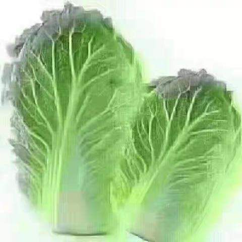 浪说水菘水芦菔，硬根瘦叶似生柴。