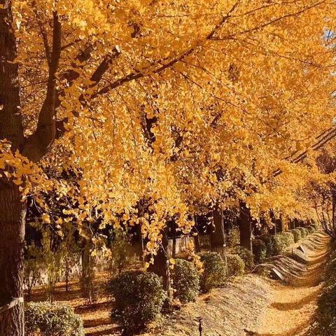 攻坚克难      圆梦金秋————破解办证难题纪实（片段）