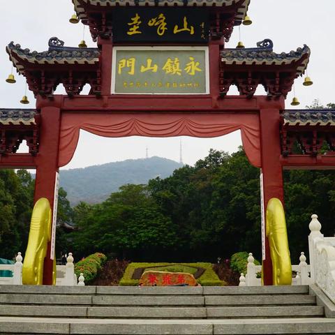 闲游新会