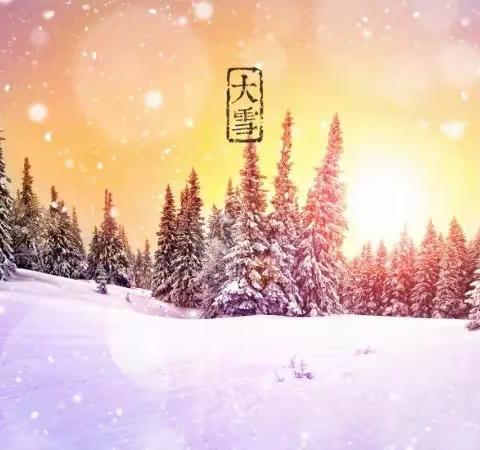 六年级音乐课《雪绒花》