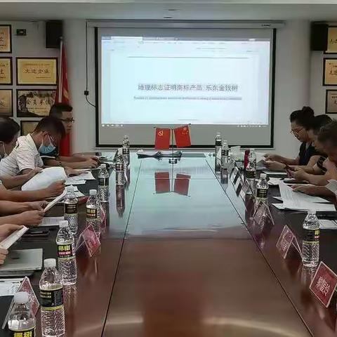 乐东6个地理标志证明商标产品团体标准技术审查会顺利召开