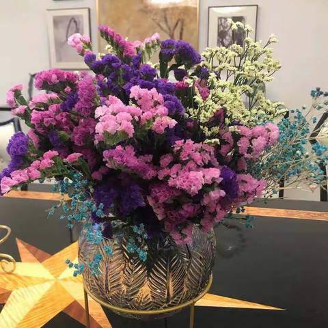 冷冷的夏的美篇