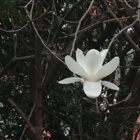 春天了