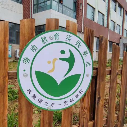 劳动中育人 实践中成长