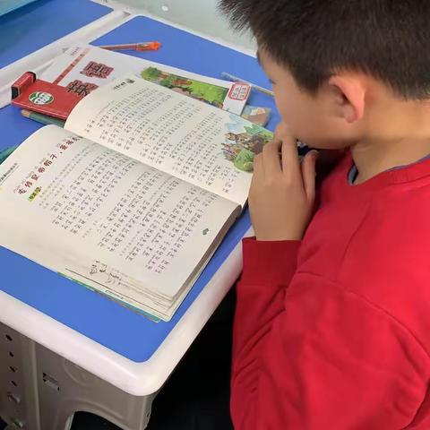 记录多年前学生在🌹萌轩托管🌹寒假生活