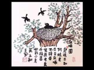 故事分享第二期《乌鸦反哺》