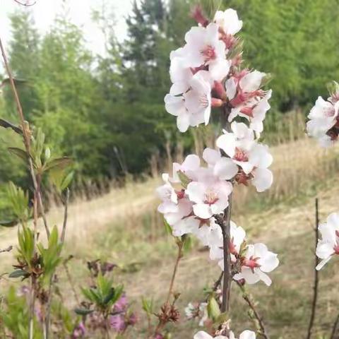 居家学习，让生活更精彩。