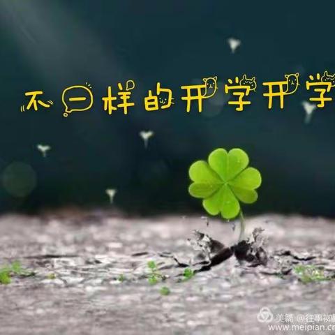 柠檬℃微凉的美篇