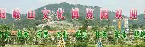 书心辅导园