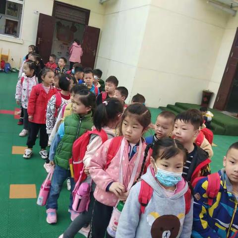 红星幼儿园果果二班秋游——向日葵🌻花海