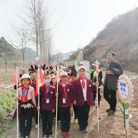 播种希望，收获成长——实验小学三.七班“开心农场”耕耘记